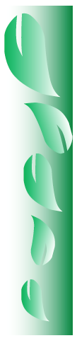 Logotipo, nombre de la empresa

Descripción generada automáticamente