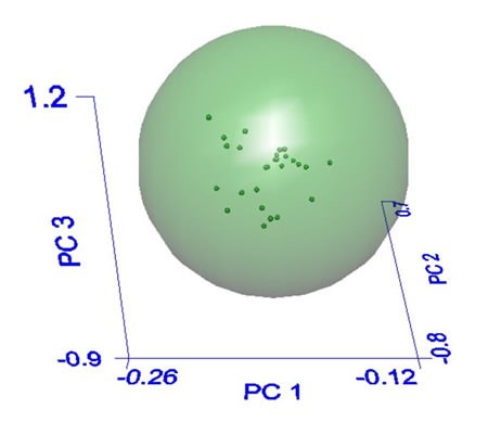 PCA Pinos