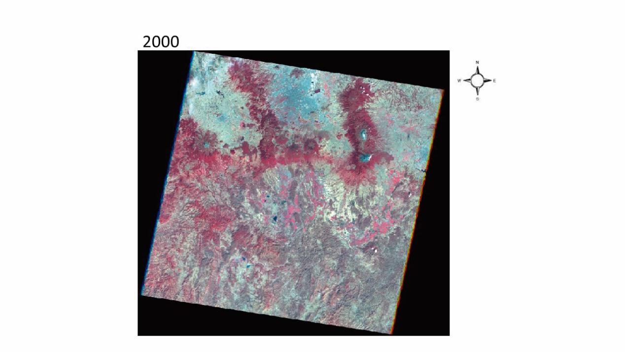 Escena2000