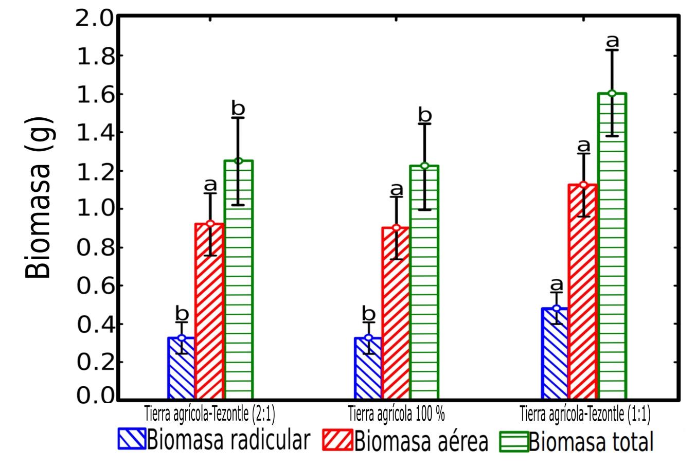 Figura 1