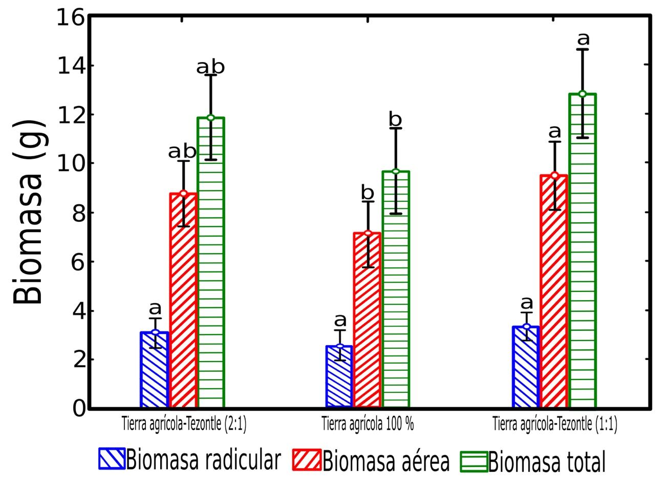 figura 3