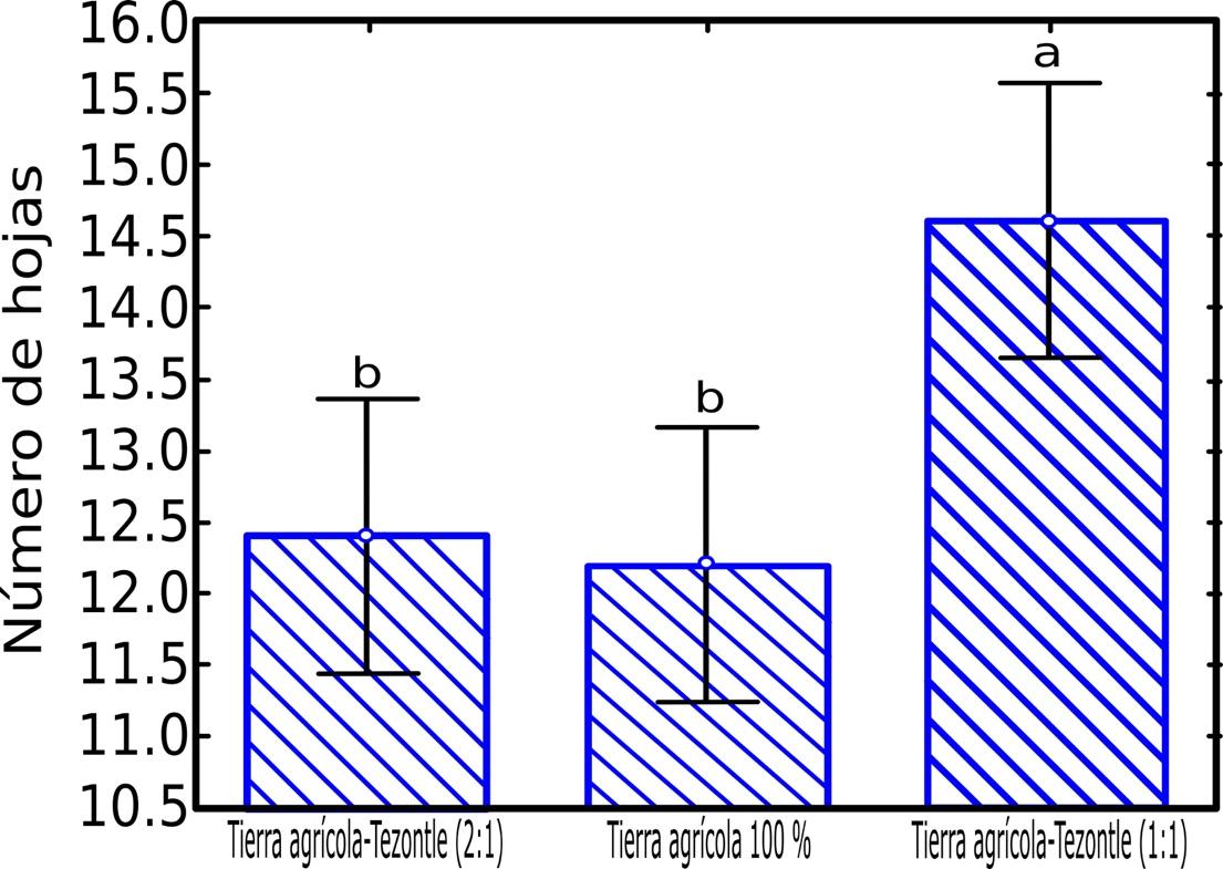 figura 2