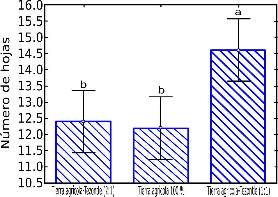 figura 2