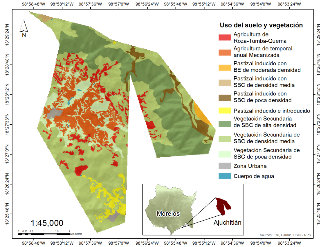 vegetación.tif