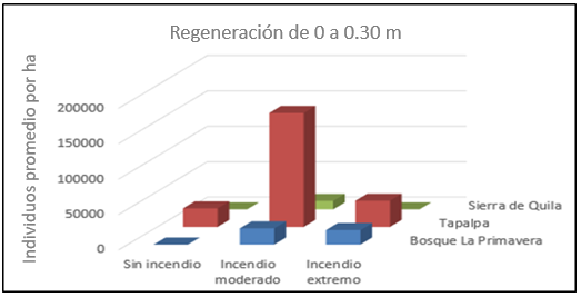 Gráfico, Gráfico de barras



Descripción generada automáticamente
