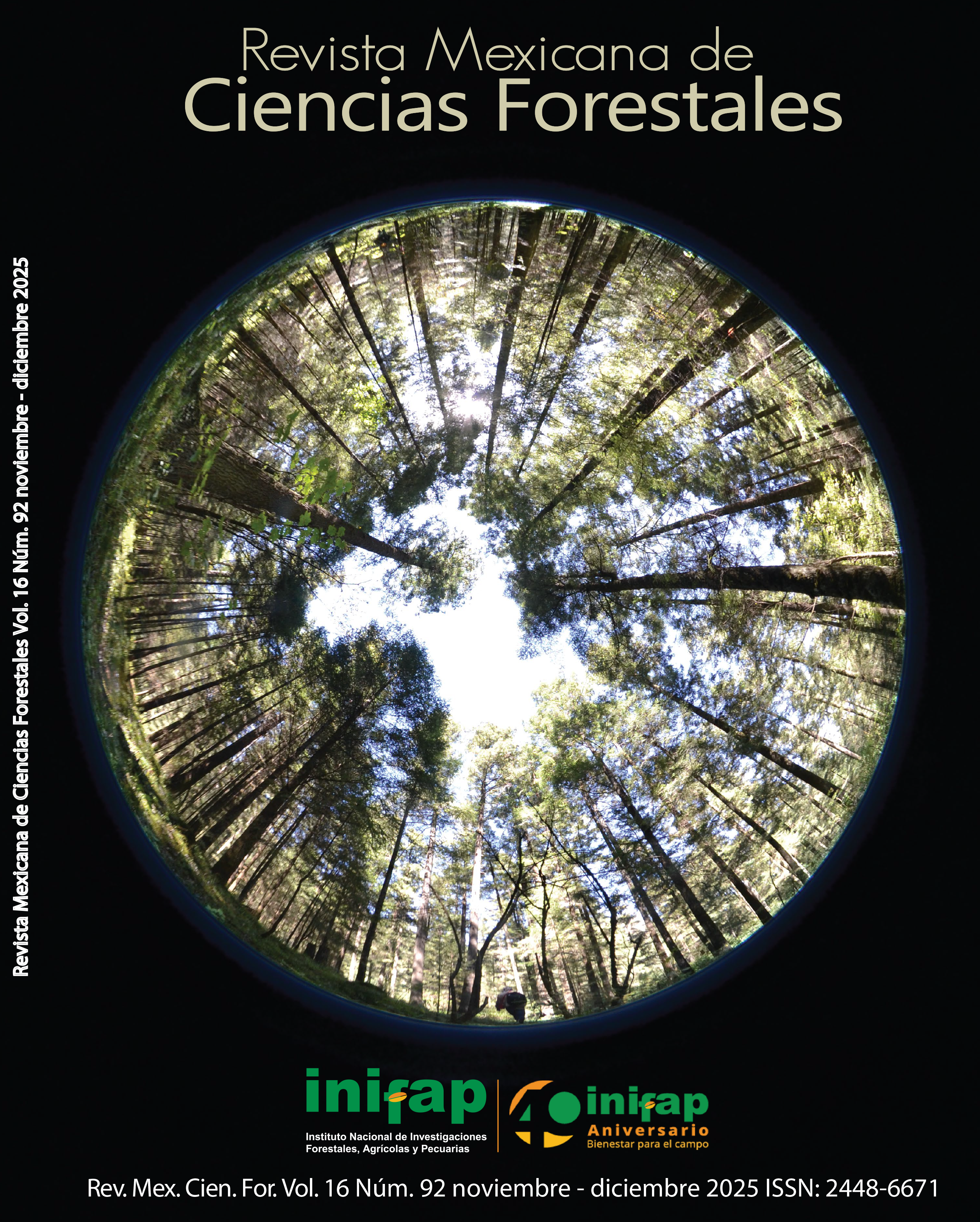 					Ver Vol. 16 Núm. 92 (2025)
				