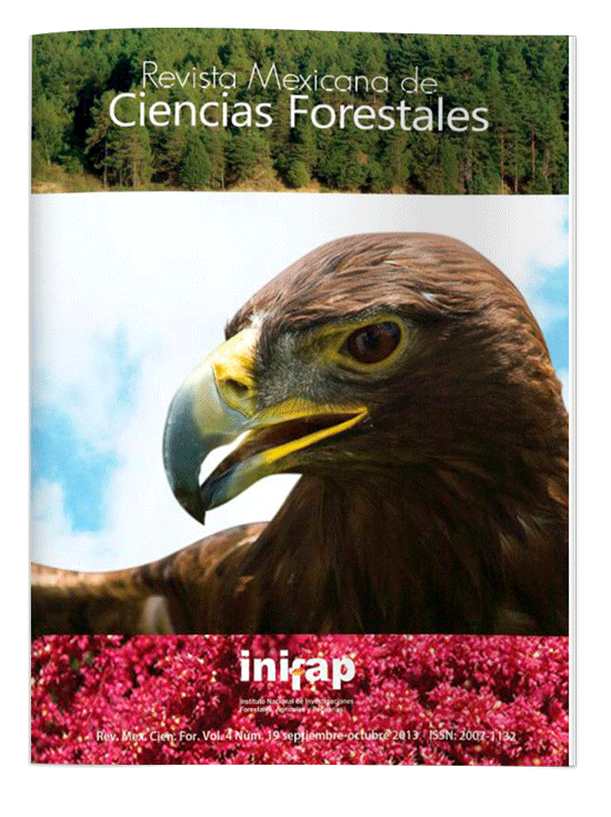 Vol.4, Núm. 19