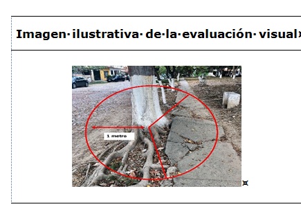 Daño a la infraestructura