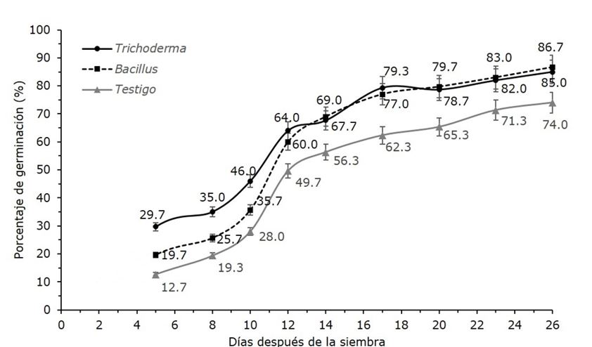 Porcentaje de germinación de semillas de Agave victoriae-reginae T. Moore